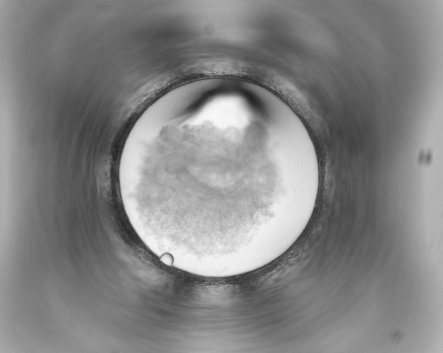 X0000093560202200711051044