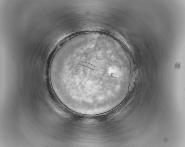 X0000093560203200711051044