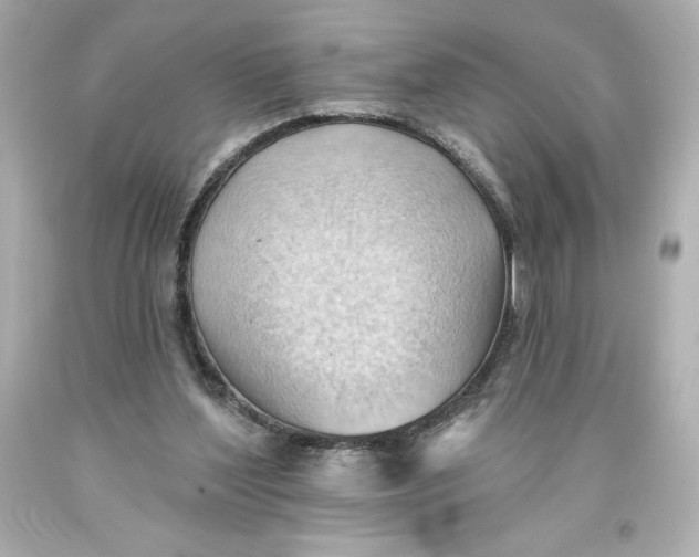 X0000093560204200711051044