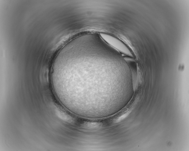 X0000093560205200711051044