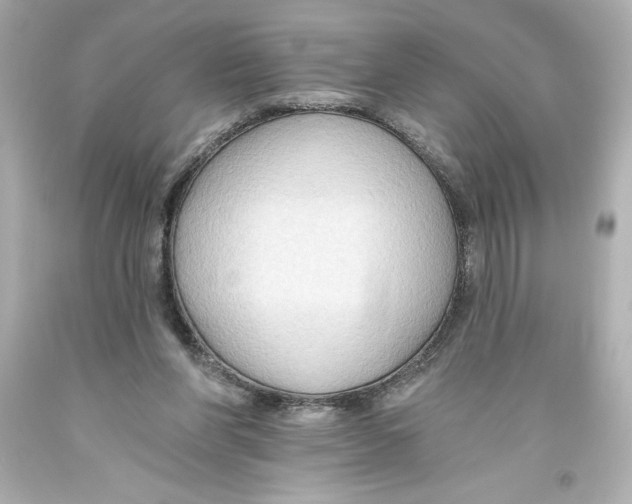 X0000093560206200711051044