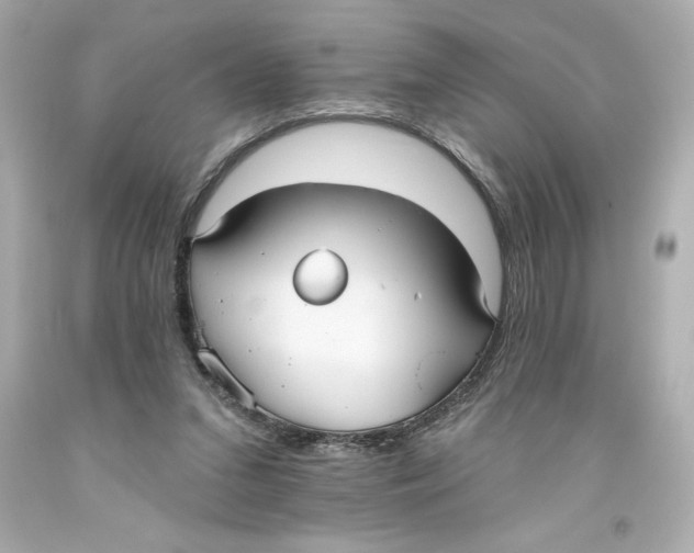 X0000093560207200711051044