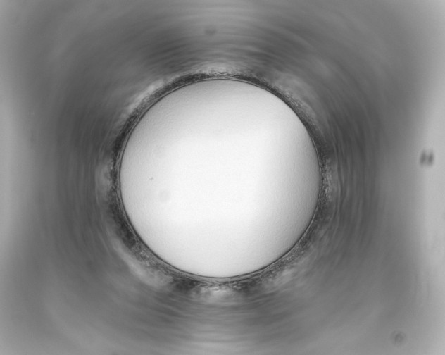 X0000093560208200711051044