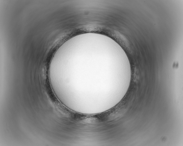 X0000093560210200711051044