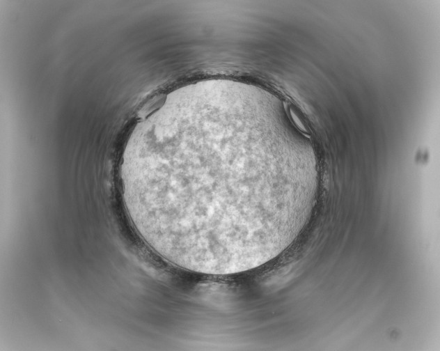 X0000093560211200711051044