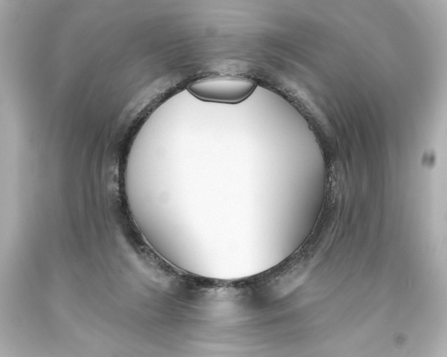 X0000093560212200711051044