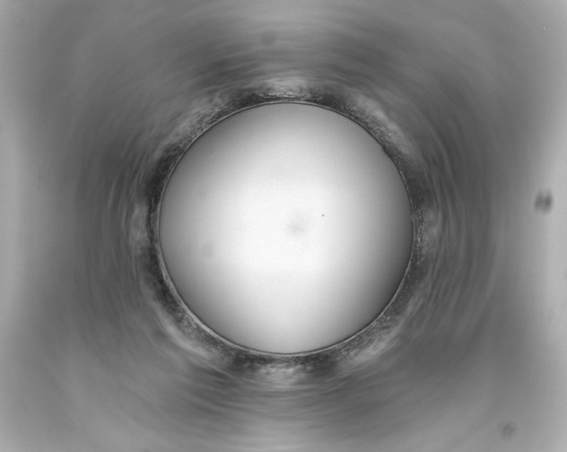 X0000093560213200711051044