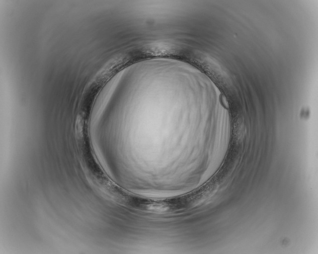 X0000093560214200711051044