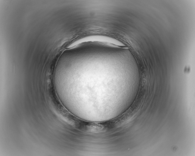 X0000093560215200711051044