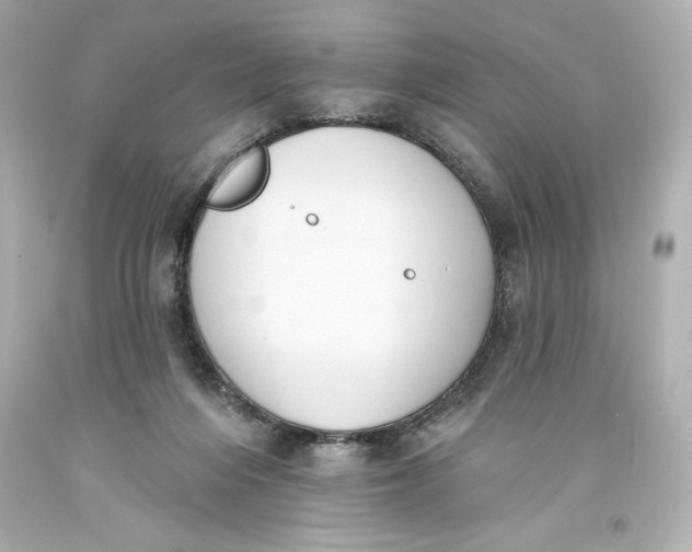 X0000093560216200711051044