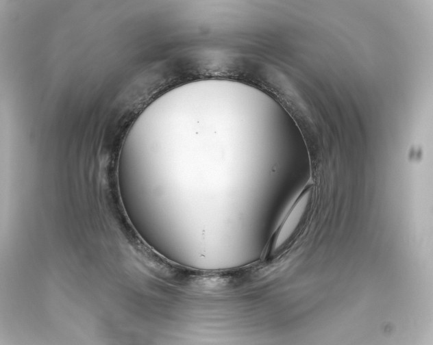 X0000093560217200711051044