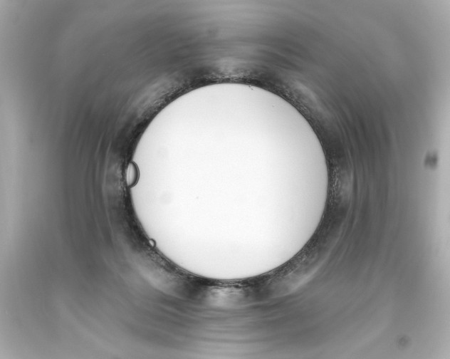 X0000093560220200711051044