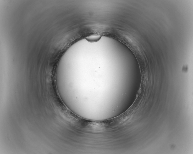 X0000093560221200711051044