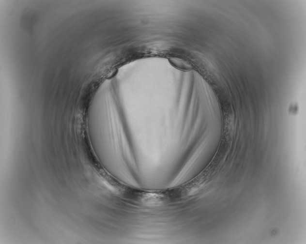 X0000093560222200711051044