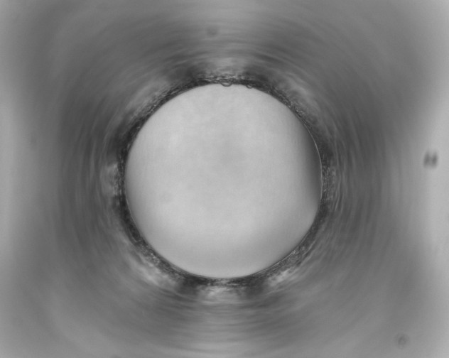 X0000093560224200711051044