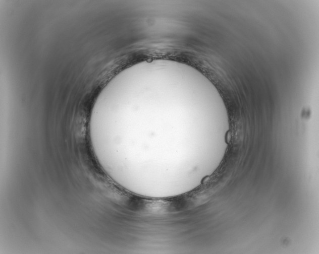 X0000093560226200711051044