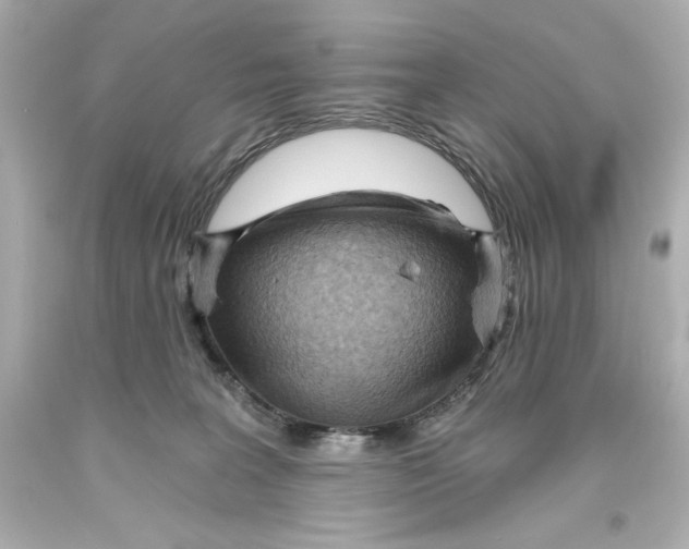 X0000093560227200711051044