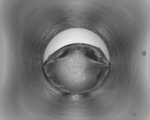 X0000093560229200711051044