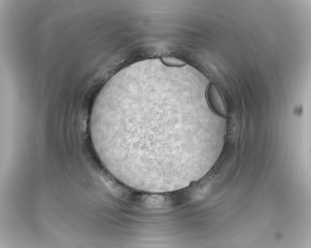 X0000093560230200711051044