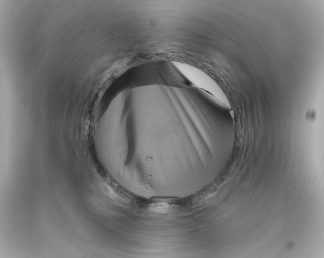 X0000093560231200711051044