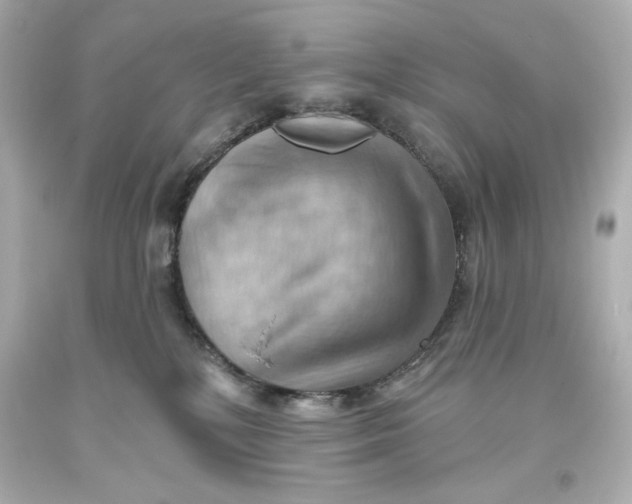 X0000093560232200711051044