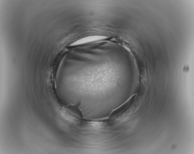 X0000093560233200711051044