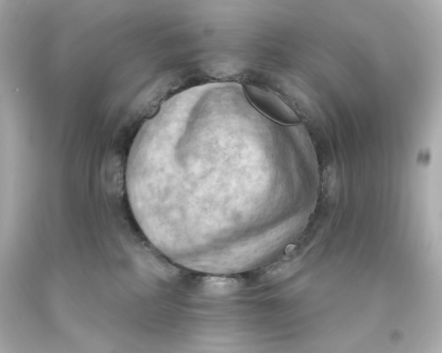 X0000093560234200711051044