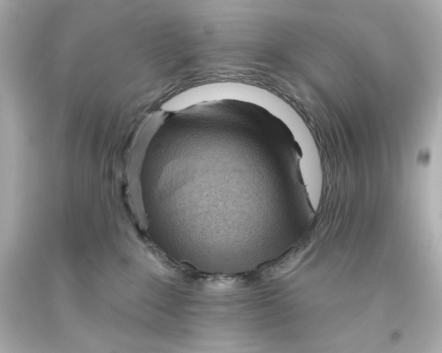 X0000093560235200711051043