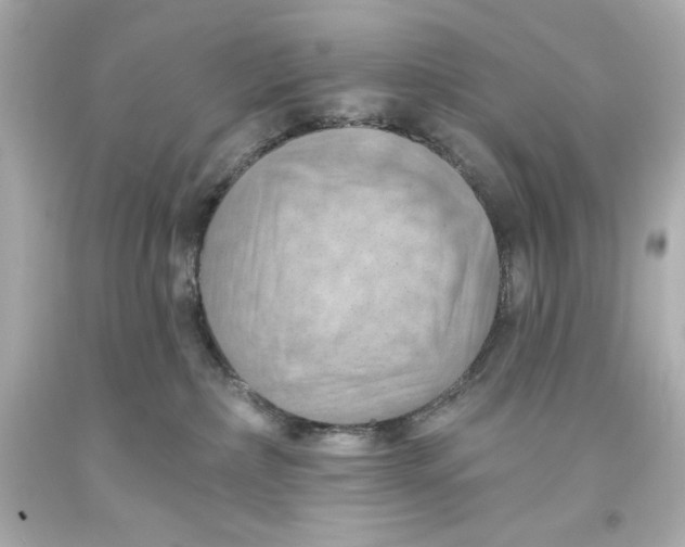 X0000093560236200711051043