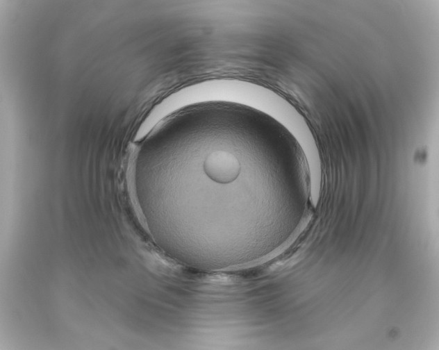 X0000093560237200711051043