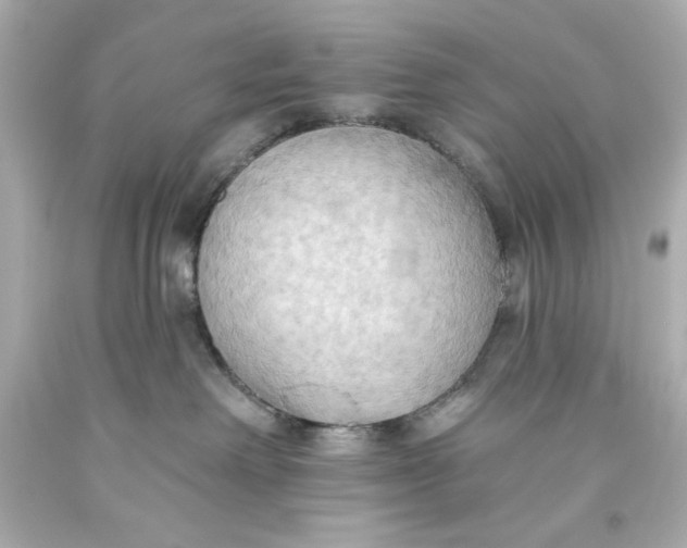 X0000093560238200711051043