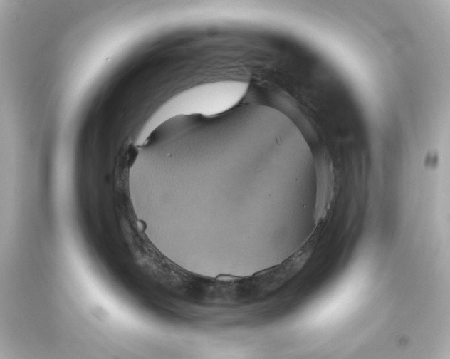 X0000093560239200711051043