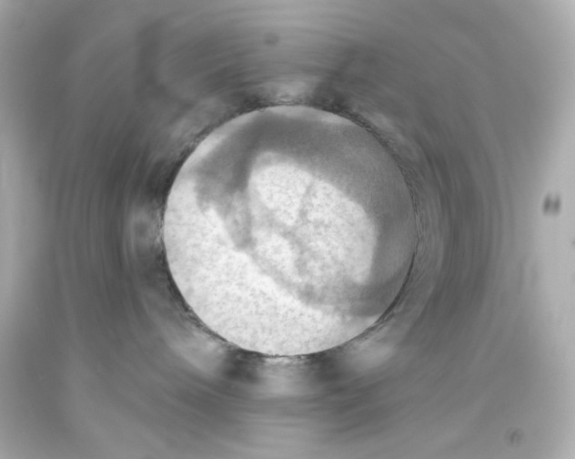 X0000093560240200711051043