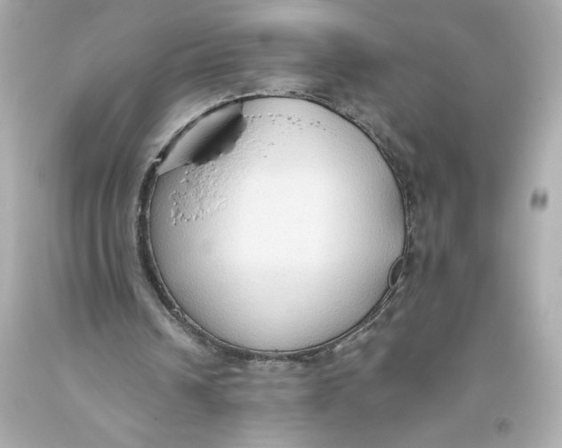 X0000093560242200711051043