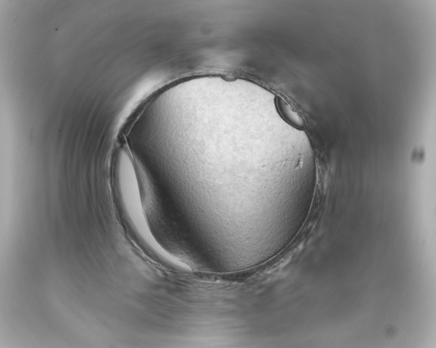 X0000093560244200711051043