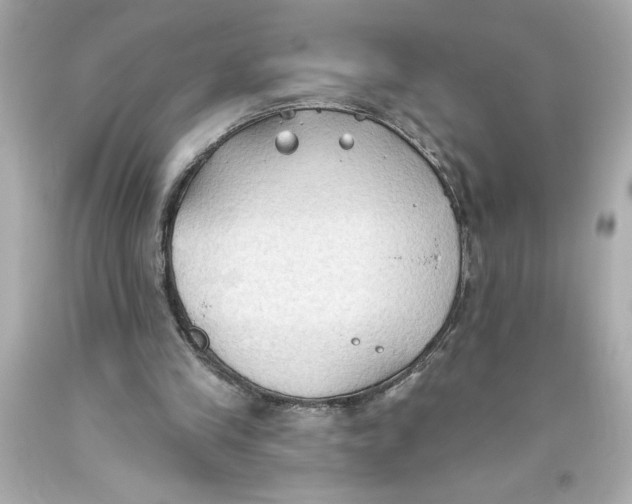 X0000093560245200711051043