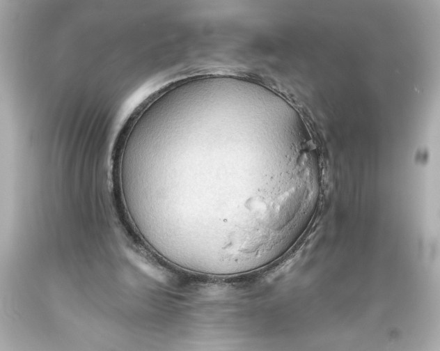 X0000093560246200711051043