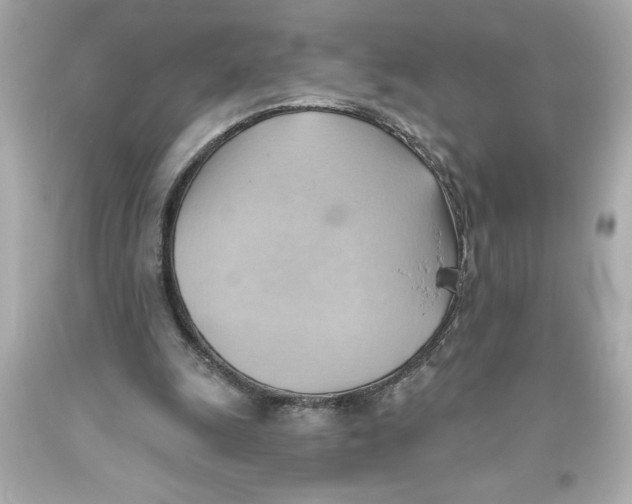 X0000093560247200711051043