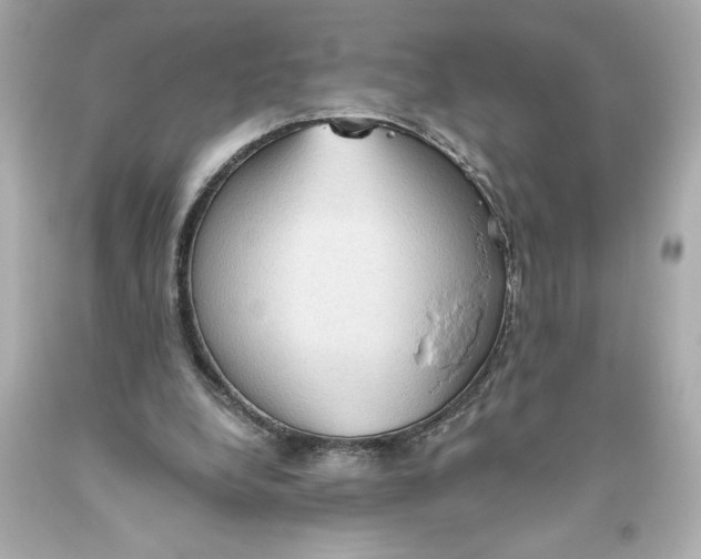 X0000093560248200711051043