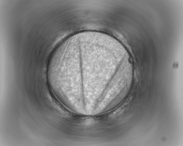 X0000093560249200711051043