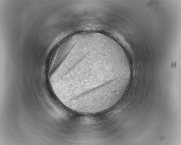 X0000093560250200711051043