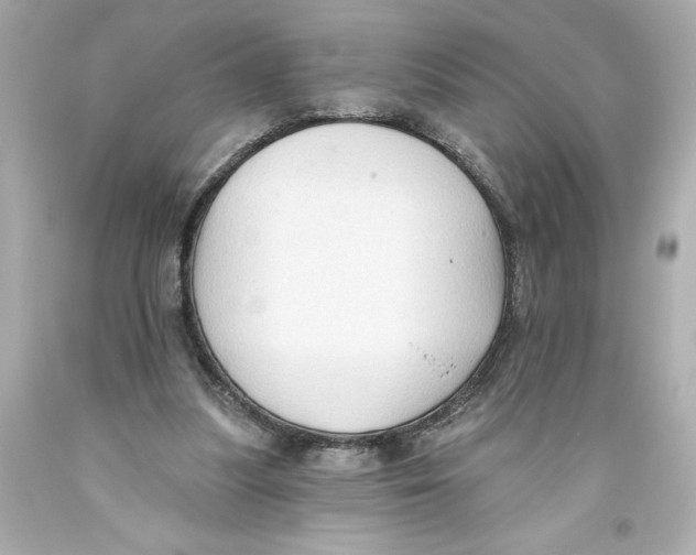 X0000093560251200711051043