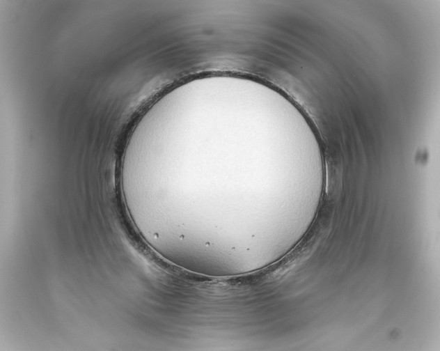 X0000093560253200711051043