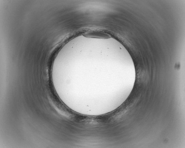 X0000093560254200711051043