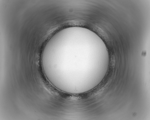 X0000093560255200711051043