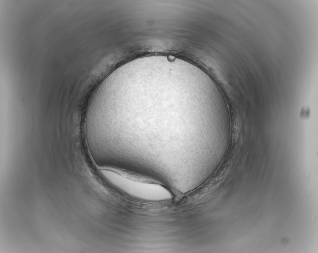 X0000093560257200711051043