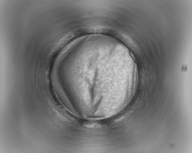 X0000093560258200711051043