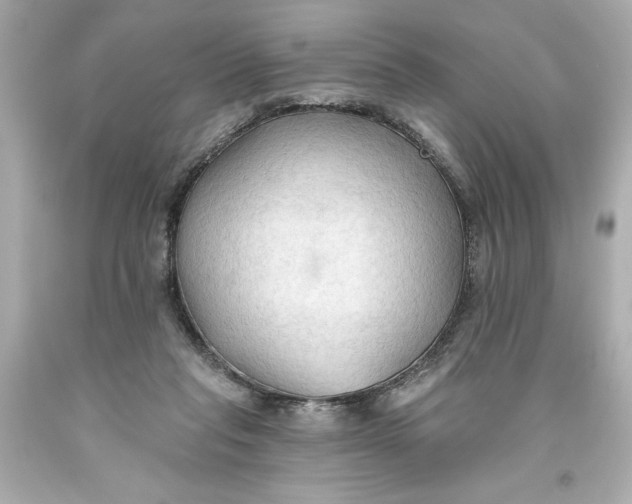 X0000093560261200711051043