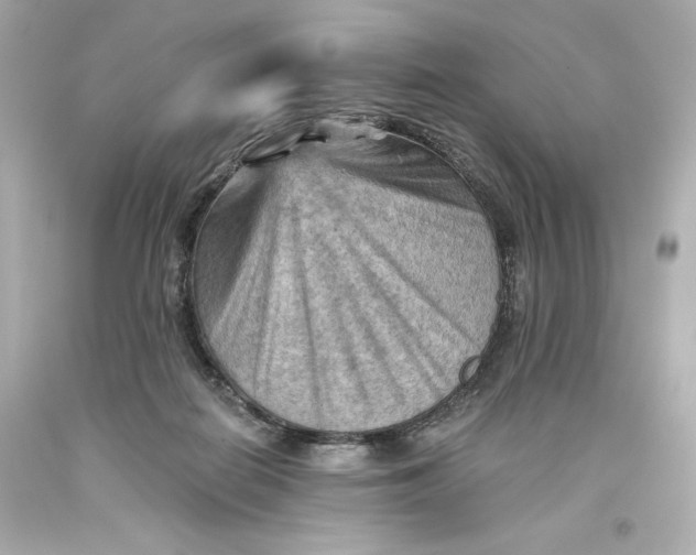 X0000093560266200711051043