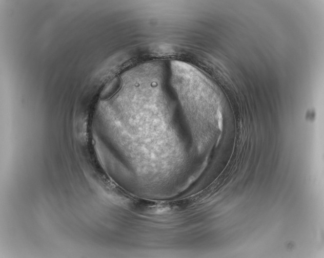 X0000093560267200711051043